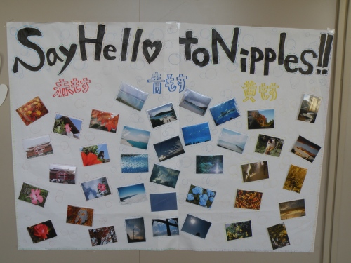 I couldn't stop laughing when I saw this. What a weird name! It's a photography poster....no "Nipples" are pictured!